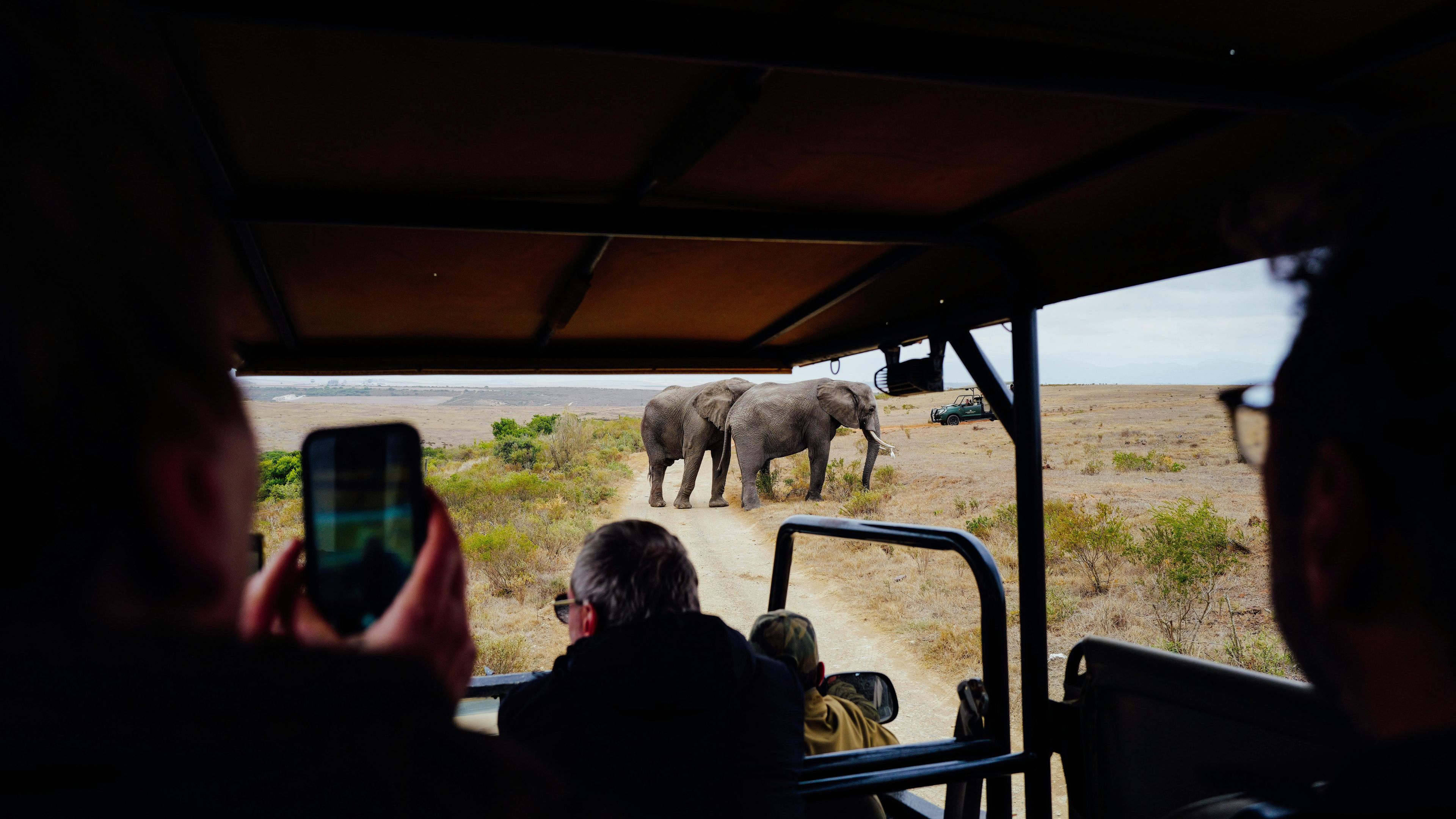 Safari guests watching wildlife in Zimbabwe near Victoria Falls
